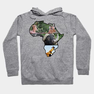 African Wildlife Continent Collage Hoodie